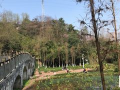 -重庆彩云湖湿地公园