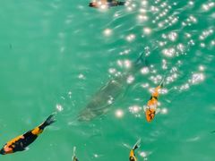 -水濂山森林公园