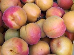 -康陵正德春饼宴26号