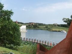 -大塘金香草谷