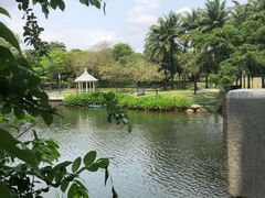 -四海公园(南山区)