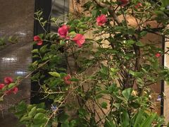 -冰冰龙虾·江湖菜·花园江景餐厅