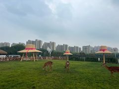 -唐山河头老街国丰维景度假大酒店