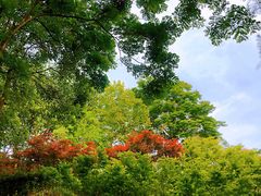 -重庆彩云湖湿地公园