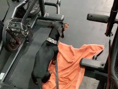 -CrossFit MeWellness