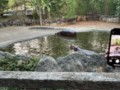 -清迈夜间动物园