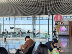 -青岛胶东国际机场