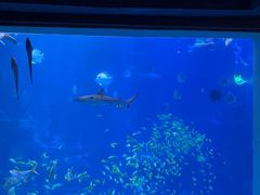 -太平洋海底世界