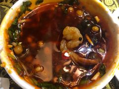 -红鼎坊·老成都火锅(新南门店)