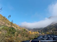 -狮子沟牧场