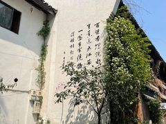 -南宋御街