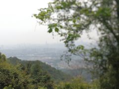 -火炉山森林公园