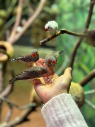 -Zoolung Zoolung动物主题公园(海信广场店)