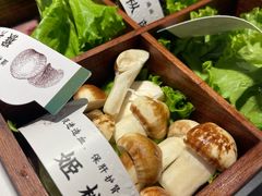 -椰子湾·海南火锅·糟粕醋·椰子鸡(正大广场店)