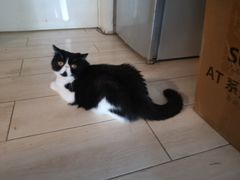 -平行世界·猫咖(首经贸店)