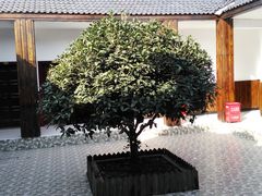 四合院内-皓晶庄园