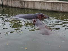 -哈尔滨北方森林动物园