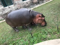 -哈尔滨北方森林动物园