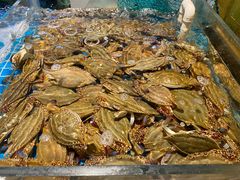 -九月海·海鲜自助(世纪东方店)