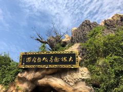 -大槐树寻根祭祖园