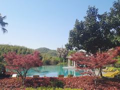 -宁波九龙湖开元度假村