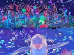 -南宁方特东盟神画