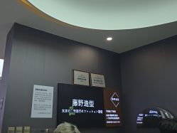 -藤野造型烫染