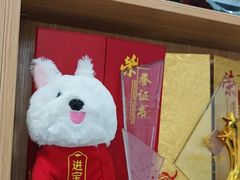 -东莞宠友24H宠物中心医院·转诊夜诊·异宠(新河北路院)