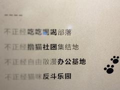 -猫儿山۰猫主题餐厅