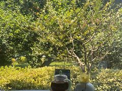 -浙江西子宾馆·牡丹厅