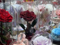 -谷莠子花艺·气球派对·绿植造景·花艺沙龙(金光华广场店)