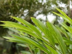 -维乐口腔医院(星海湾分院)