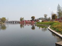 android_upload_pic-郑和公园