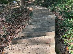 -上海佘山国家森林公园天马山园