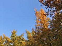 -汉景帝阳陵博物院