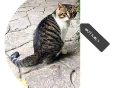 -壹华里·市集