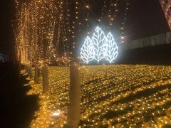 -南京眼步行桥