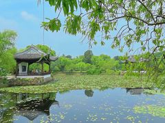 -无锡蠡湖国家湿地公园-蠡园