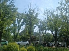 -金鸡湖景区