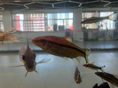 -弓舍射箭俱乐部(高新总店)