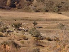 -塞罕坝国家级自然保护区