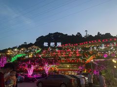 -枇杷园食为鲜火锅(南山店)