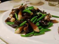 鸡枞菌-马凯餐厅(长椿街店)