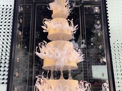 -BLACKSWAN黑天鹅(环球店)
