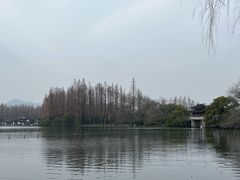 -杭州西湖柳莺里酒店·闻莺厅