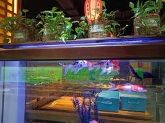 -津门羊大爷铜锅涮肉(雅清街店)