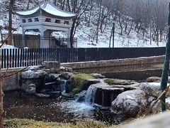 -白水寺森林公园
