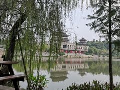 -新概念来凤鱼(璧山店)