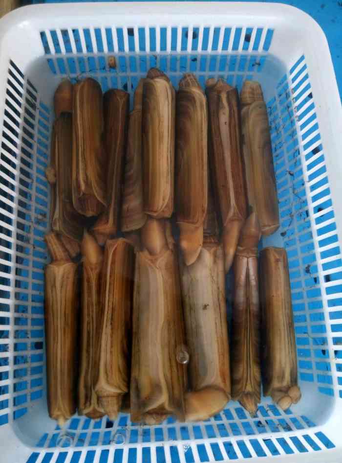 万橡火锅-"海鲜很棒.羊肉片很好.就是调料差点,像麻."-大众点评移动版