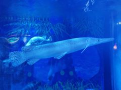 -成都浩海立方海洋公园